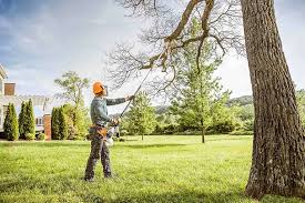 Best Tree Risk Assessment  in Glenshaw, PA